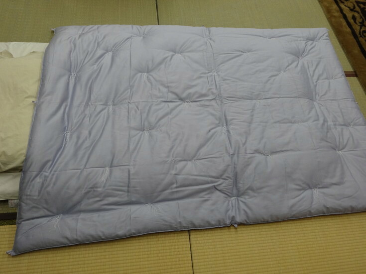 【ふるさと納税】エジプト綿入り肌掛ふとん (ブルー) 日本製 ふとんのワタセ 御中元 お中元|滋賀県近江八幡市