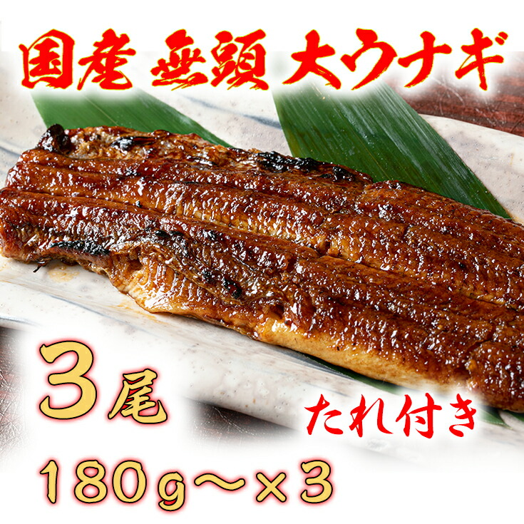 【ふるさと納税】国産うなぎ　備長炭地焼き蒲焼き180g以上×3尾　タレ付き×3  国産  鰻 ウナギ 土用の丑の日 グルメ 国内産 冷凍 タレ付き 送料無料 プレゼント 贈り物 ギフト