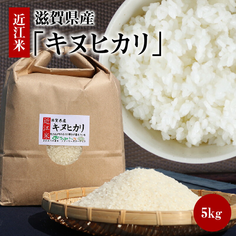 【ふるさと納税】令和7年度産 近江米「キヌヒカリ」 5kg｜滋賀県守山市 12,160円