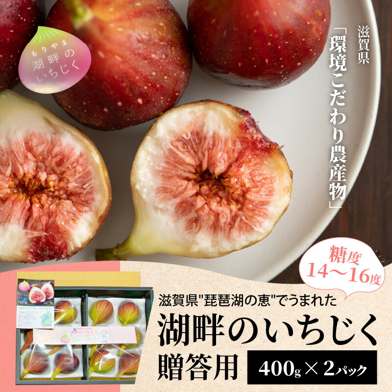 【ふるさと納税】いちじく 400g × 2パック 計 800g 贈答用 湖畔のいちじく 糖度14度～糖度16度 美活 果物 フルーツ 旬のフルーツ 季節の果物 デザート お土産 贈り物 ギフト プレゼント 冷蔵 お取り寄せ お取り寄せグルメ 送料無料