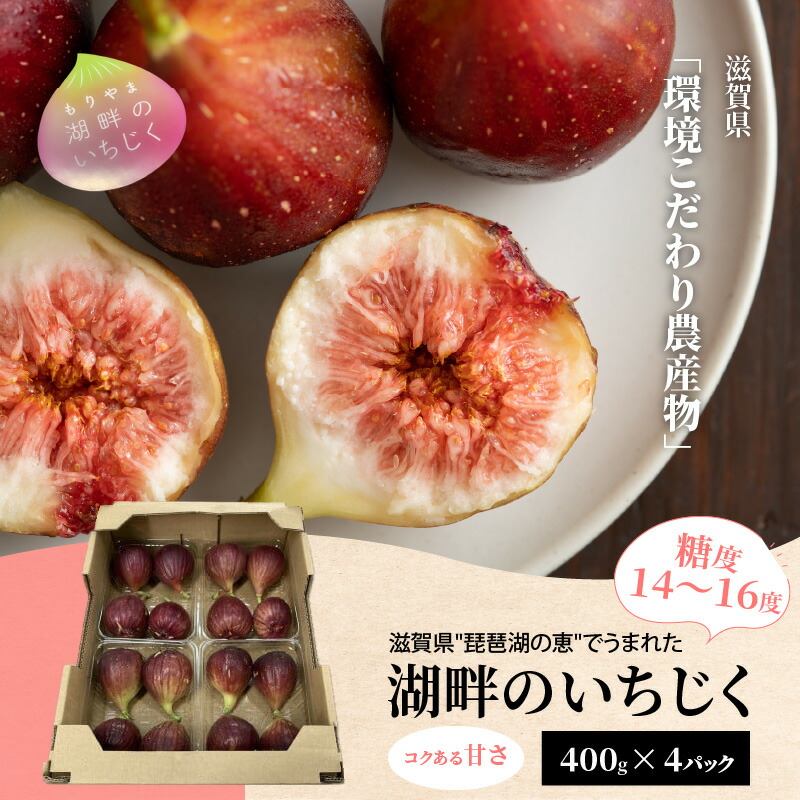 【ふるさと納税】いちじく 400g × 4パック 計 1.6kg 湖畔のいちじく 糖度14度～糖度16度 美活 果物 フルーツ 旬のフルーツ 季節の果物 デザート お土産 冷蔵 お取り寄せ お取り寄せグルメ 送料無料