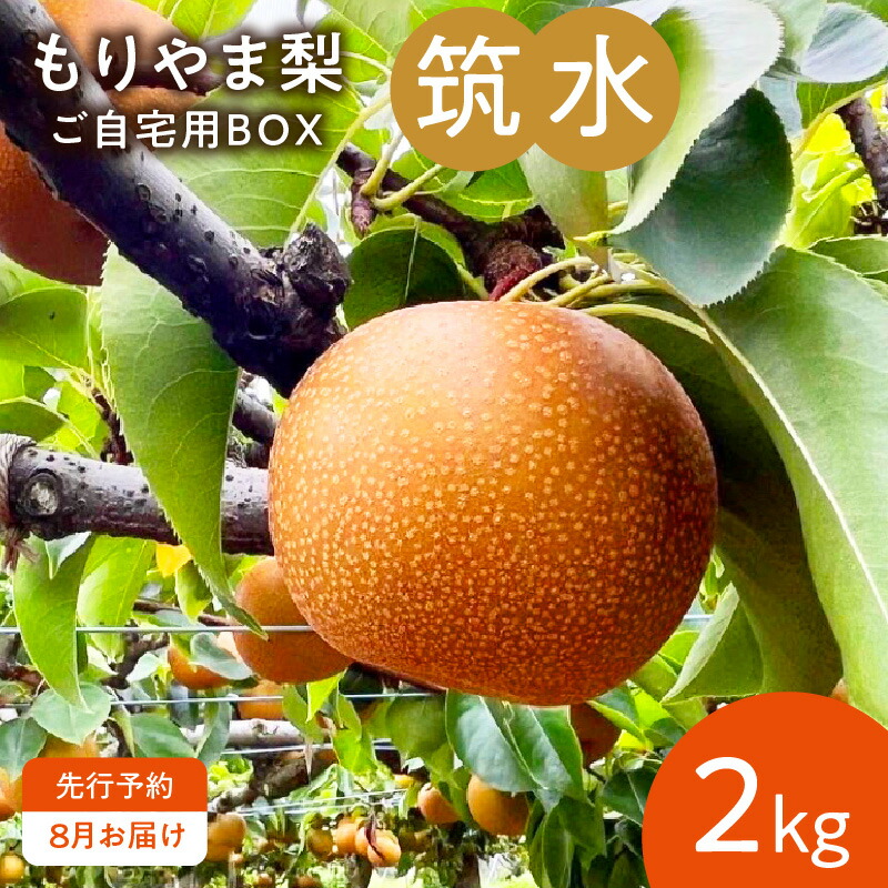 【ふるさと納税】【８月お届け】 もりやま梨 筑水 2kg ご自宅用 梨 完熟 果汁 みずみずしい 果肉 しっとり 甘み 香り 果物 フルーツ デザート おやつ びわこもりやまフルーツランド お取り寄せ お取り寄せフルーツ 滋賀県 守山市 送料無料