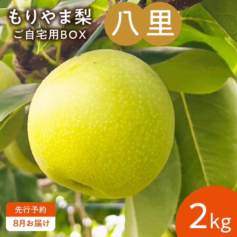 【ふるさと納税】【8月お届け】 もりやま梨 八里 2kg ご自宅用 梨 完熟 果汁 みずみずしい 甘さ 酸味 さっぱり 上品 果物 フルーツ デザート おやつ びわこもりやまフルーツランド お取り寄せ お取り寄せフルーツ 滋賀県 守山市 送料無料