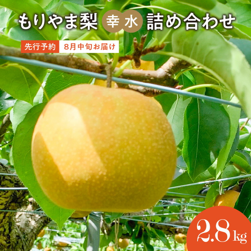 【ふるさと納税】先行予約　びわこもりやまフルーツランド　もりやま梨　幸水詰め合わせ　完熟採り　生産農家直送