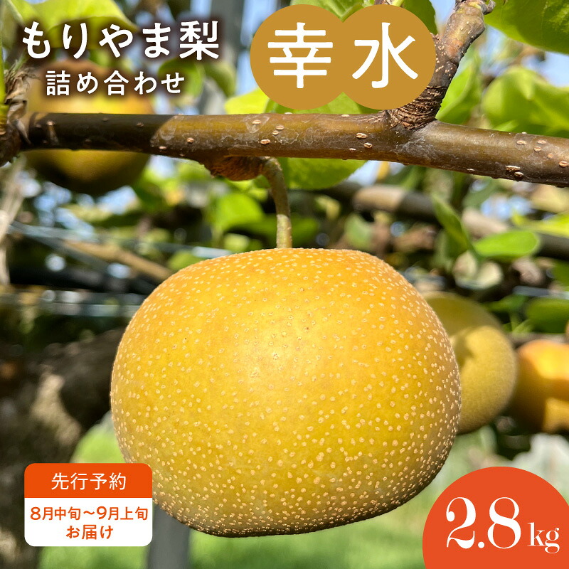 【ふるさと納税】先行予約　びわこもりやまフルーツランド　もりやま梨　幸水詰め合わせ　完熟採り　生産農家直送