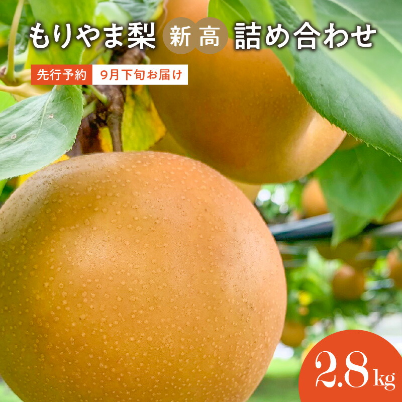 【ふるさと納税】先行予約　びわこもりやまフルーツランドもりやま梨　 新高 詰め合わせ 箱入 ギフト　大玉 果汁たっぷり  完熟採り　生産農家直送  果物 フルーツ 滋賀県 守山市 送料無料