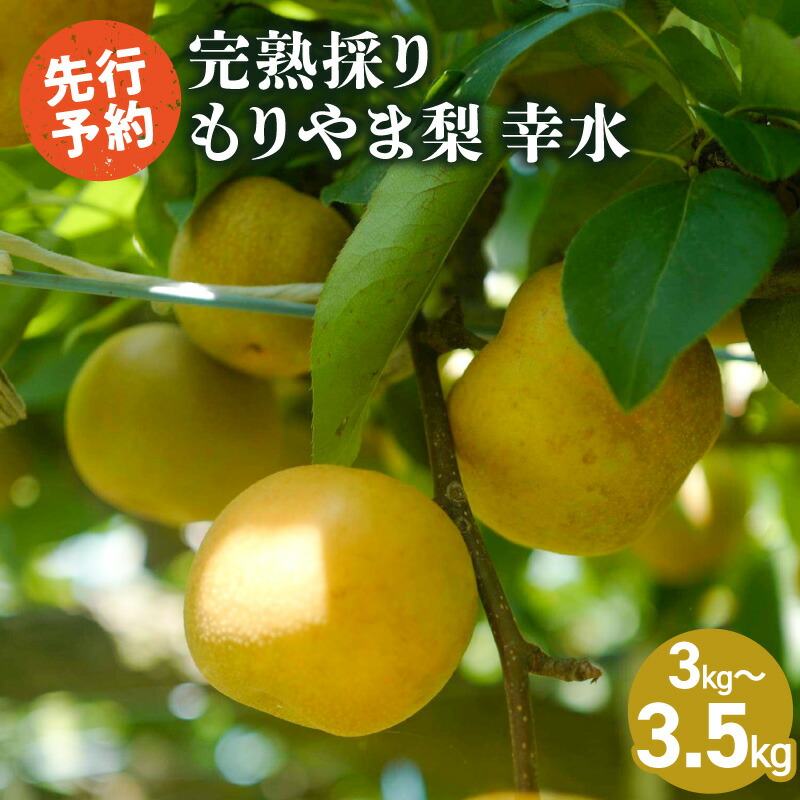 【ふるさと納税】先行予約 完熟採り 梨 幸水 3キロ~3.5キロ もりやま梨 生産農家直送 旬 果物 フルーツ お取り寄せ お取り寄せフルーツ 冷蔵 国産 送料無料 食品 滋賀県 守山市