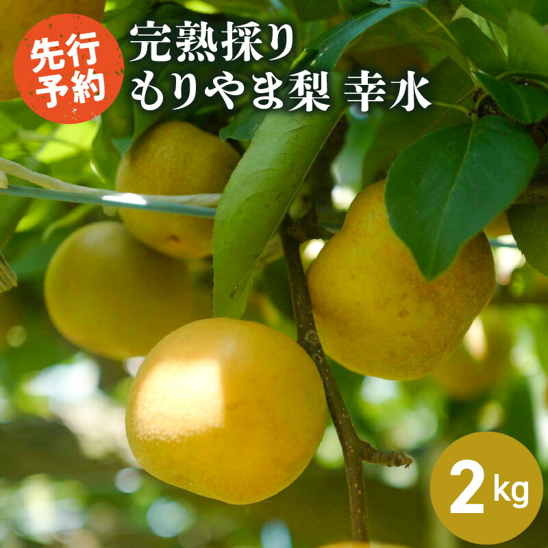 【ふるさと納税】完熟採り　もりやま梨　幸水　２キロ【2025年8月中旬お届け】