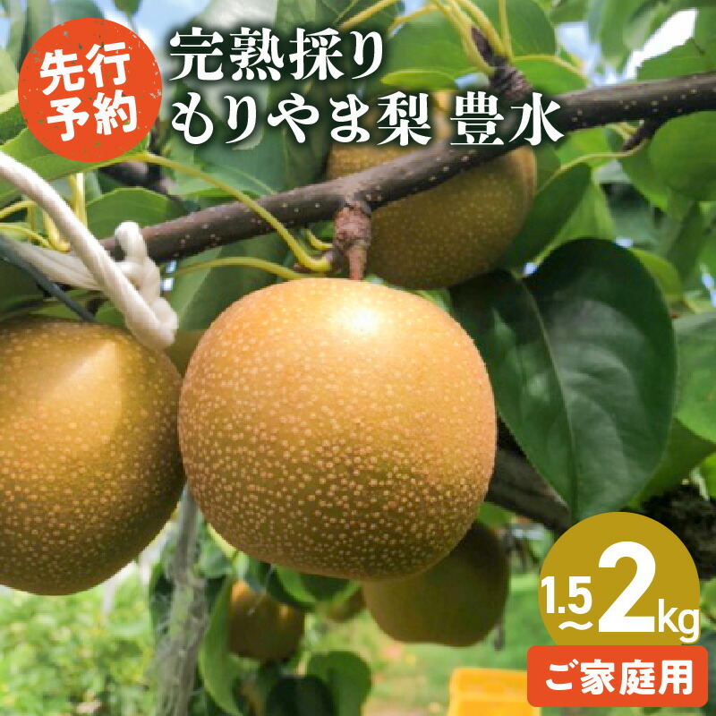 【ふるさと納税】完熟採り もりやま梨豊水 家庭用 訳あり 1.5キロ～2キロ【2025年9月中旬お届け】