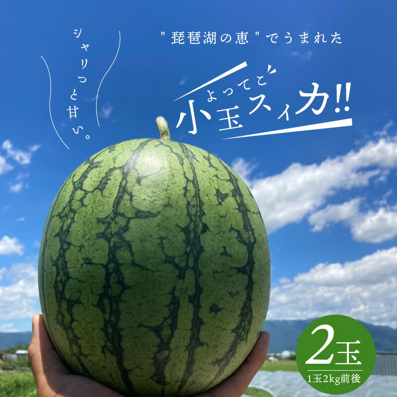 【ふるさと納税】よってこ 小玉 すいか 2kg × 2玉 ピノガール 夏 果物 糖度 高い 甘い ジューシー 食べやすい よってこファーム 箱入り 常温配送 フルーツ デザート 食べ物 果物 おやつ お中元 お土産 お取り寄せ 滋賀県 守山市 送料無料
