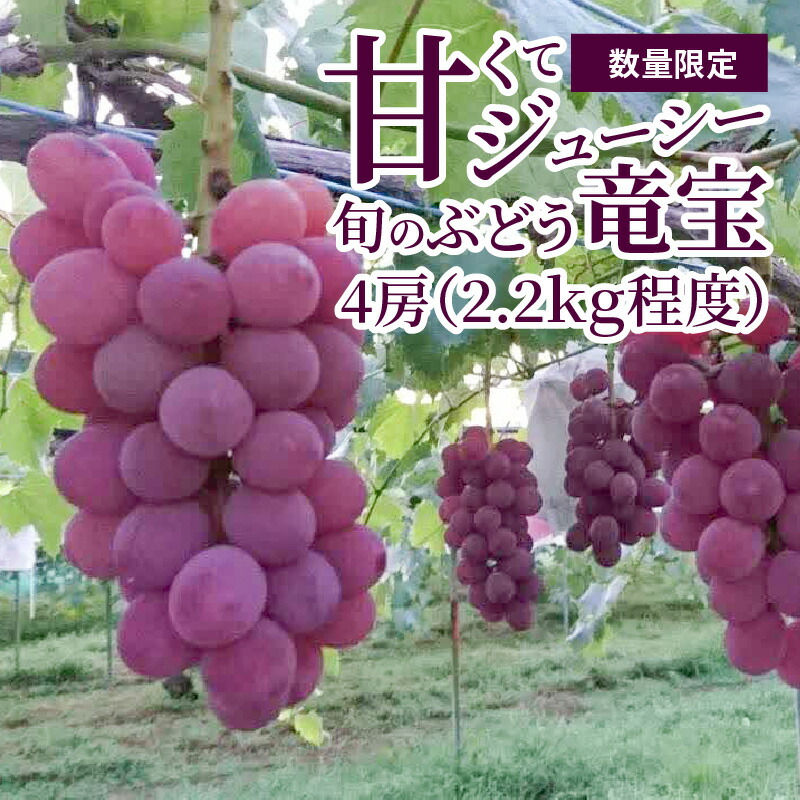 【ふるさと納税】【数量限定】 ８月お届け ぶどう 4房 2.2kg 旬のブドウ 産直 フルーツ 果物 大きい房 竜宝 ジューシー 高糖度 甘い 柔らかい みずみずしい 冷蔵発送 お取り寄せ お取り寄せフルーツ 贈り物 ギフト 送料無料