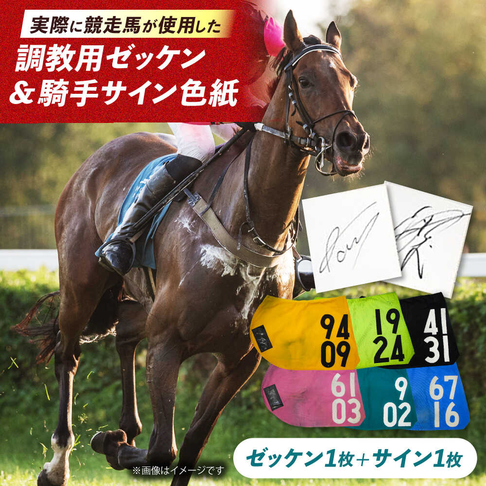 楽天市場】【ふるさと納税】【JRA/日本中央競馬会】無くなり次第終了