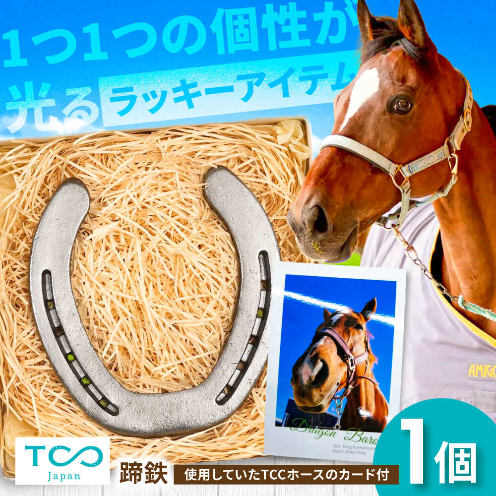 未使用の競走馬用蹄鉄1頭分を飾ったボード 未使用の競走馬用蹄鉄を飾ったボード - メルカリ