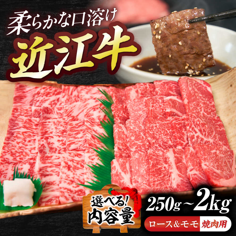 【ふるさと納税】【選べる容量】近江牛ロース＆モモ（焼肉）250g~2kg / 牛肉 焼き肉 近江牛肉 肉 赤身 霜降り 黒毛和牛 和牛 牛 国産牛 ブランド牛 焼肉用 赤身肉 サーロイン リブロース 国産 送料無料 お取り寄せ ギフト 贈り物 贈答 / 栗東市 / 有限会社 岡山[BIBE046]｜滋賀県栗東市