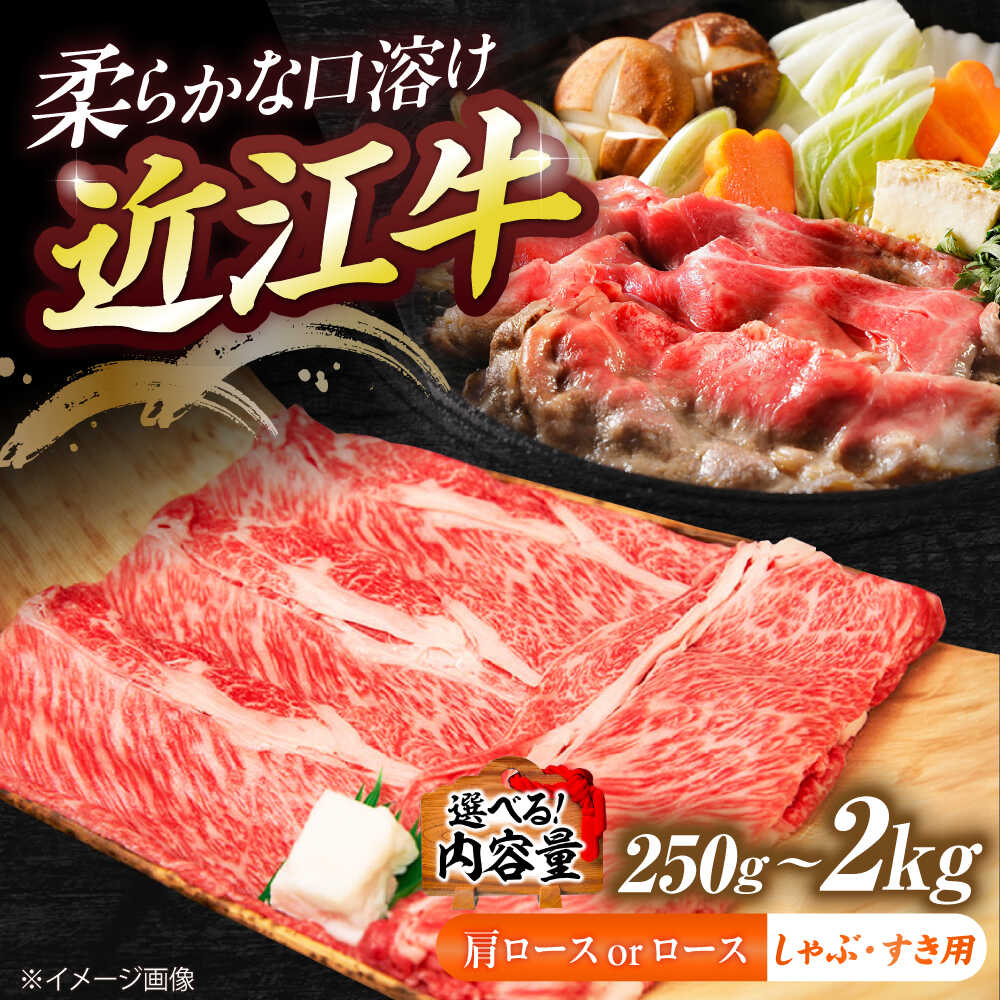 【ふるさと納税】【選べる容量】近江牛ロース・肩ロース（すきしゃぶ）250g~2kg / 近江牛 牛肉 すき焼き しゃぶしゃぶ 肉 赤身 霜降り 鍋 ロース 黒毛和牛 和牛 牛 国産牛 リブロース サーロイン 冷凍 小分け 送料無料 ギフト 贈答 / 栗東市 / 有限会社 岡山[BIBE089]｜滋賀県栗東市