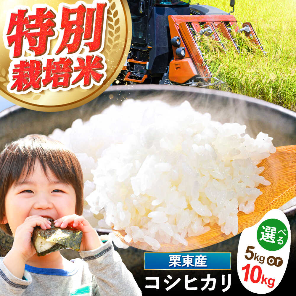 【ふるさと納税】【選べる容量】令和7年度産 栗東産 特別栽培米 コシヒカリ / ご飯 ごはん ゴハン お米 米 kome 令和7年産 滋賀県産 近江米 精米 特栽米 コメ こしひかり 産地直送 ブランド米 お弁当 朝食 ギフト お取り寄せ / 栗東市 / レーク滋賀農業協同組合[BIBV004]｜滋賀県栗東市