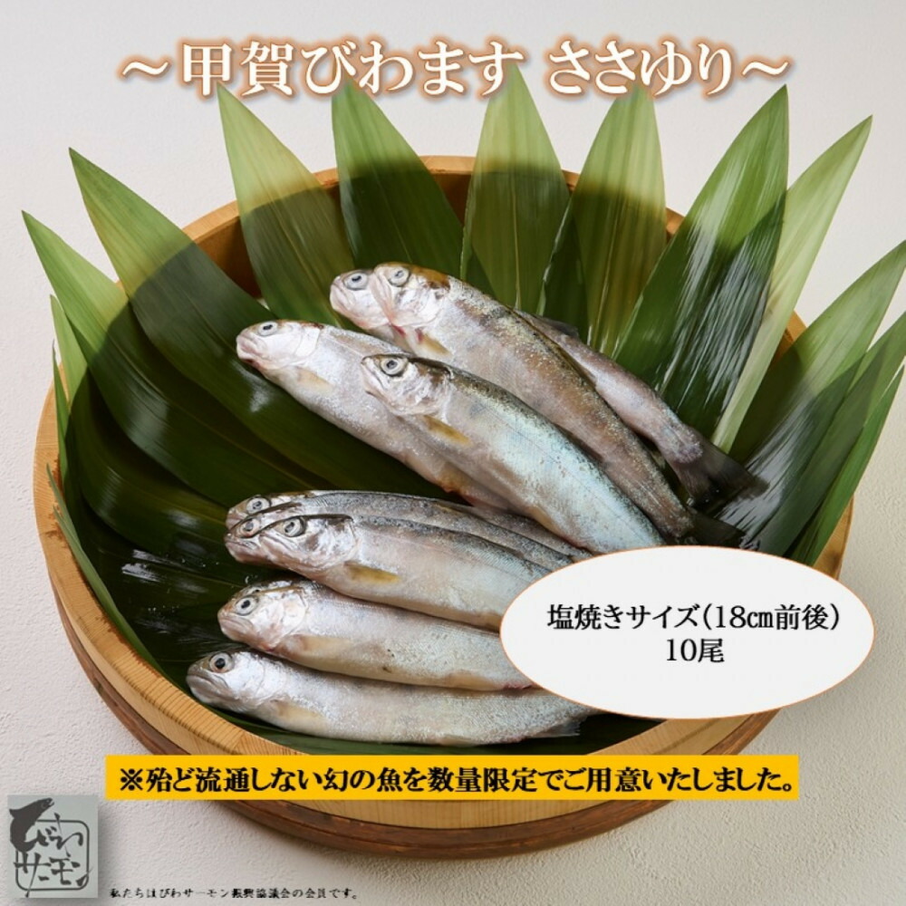 【ふるさと納税】甲賀びわます “ささゆり”　塩焼きサイズ 5尾入り×2パック 11,550円