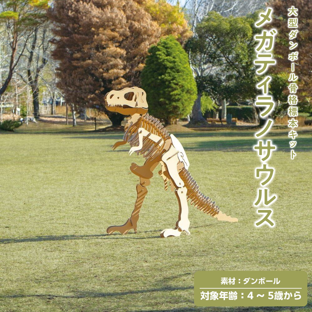 【ふるさと納税】【Qumu】大型ダンボール骨組みひな形一揃いの道具 メガティラノサウルス | 手あそび 雑貨 ダンボール製 骨組みひな形一揃いの道具 恐竜 一般受け おすすめ