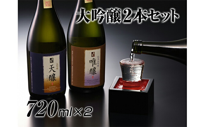 人気ブランド新作豊富 大吟醸2本セット 720ml×2本 fucoa.cl