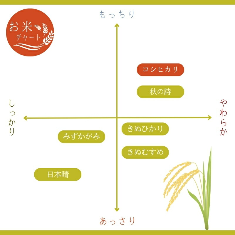 【ふるさと納税】近江米こしひかり14kgセット【お米】