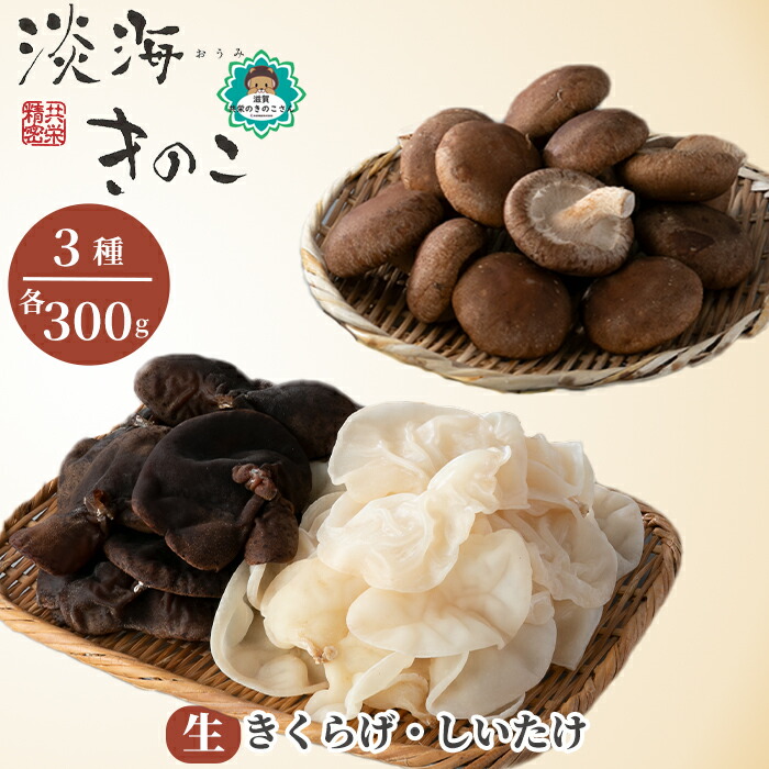 【ふるさと納税】【D-709】共栄精密　淡海きのこ　生きのこセット 生きくらげ・生しいたけ（よかもんパッケージ入り）［高島屋選定品］｜滋賀県高島市