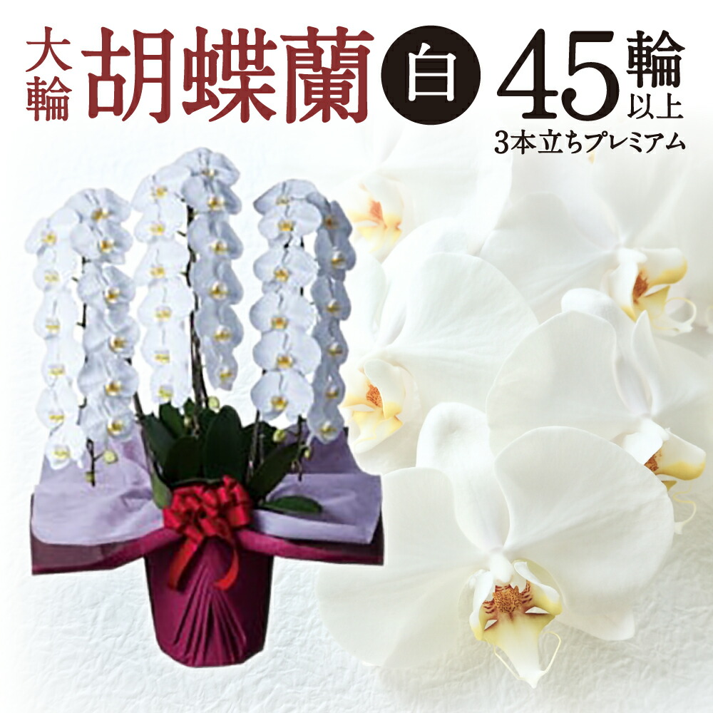 【猛暑打つ手】東近江市に冷やりとしたがいっぱい！