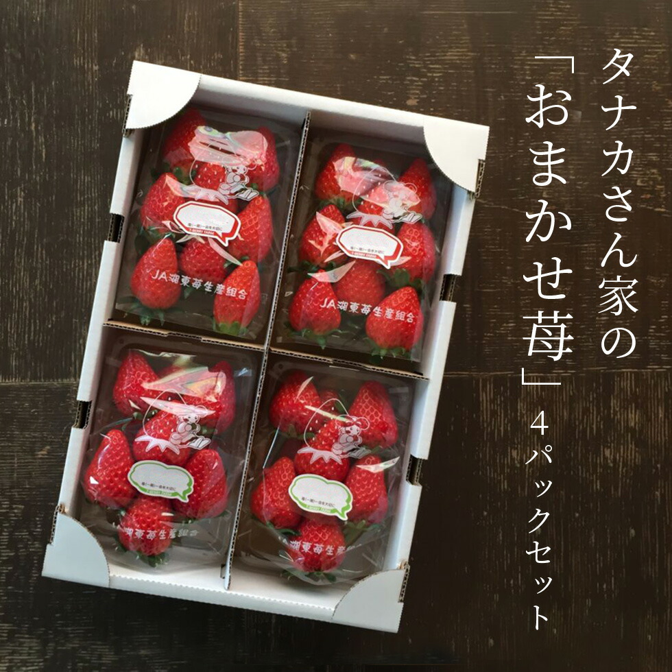 【ふるさと納税】 農家さんのおまかせ苺4パックセット 果物 くだもの 苺 いちご 新鮮 しんせん 農園直送 楽天 寄付 返礼品 お歳暮 ギフト プレゼント お祝い 贈り物 ふるさと納税　A-G03　株式会社ＴＫＳ