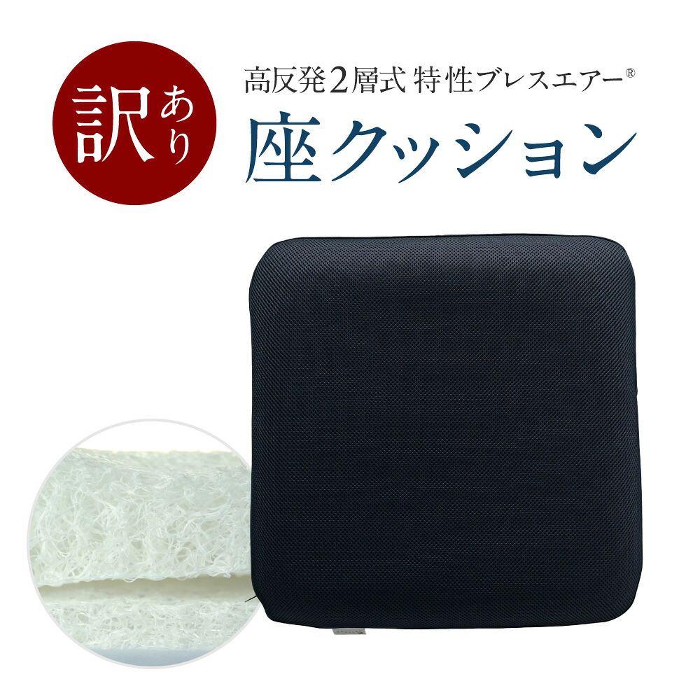 【ふるさと納税】訳あり 高反発2層式 特製ブレスエアー&reg;座クッション 近江化成工業株式会社 滋賀県 東近江市 A-E40 座布団 クッション 腰痛対策 デスクワーク 在宅勤務 体圧分散 高反発 蒸れない 洗える 椅子 事務｜滋賀県東近江市