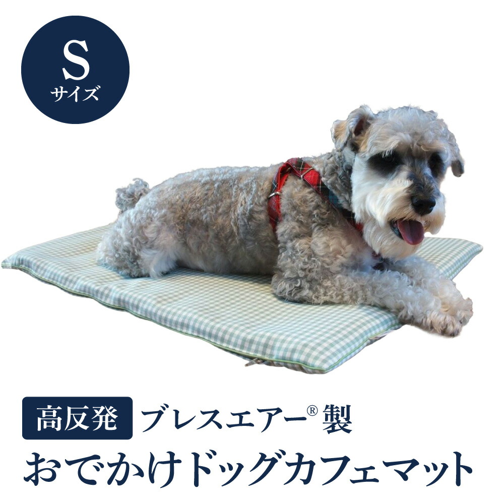 【猛暑打つ手】東近江市に冷やりとしたがいっぱい！