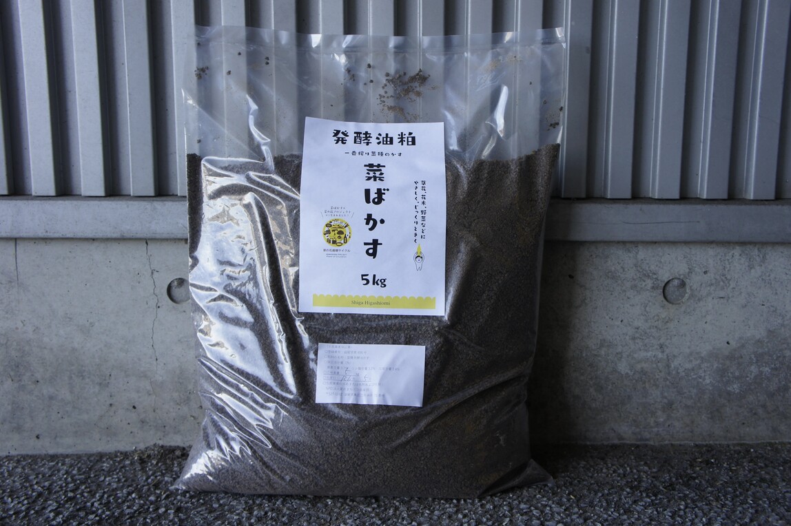 【猛暑打つ手】東近江市に冷やりとしたがいっぱい！