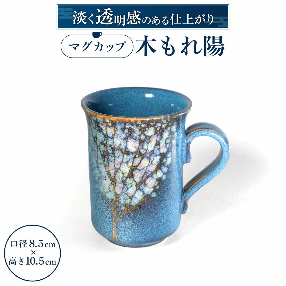 【猛暑打つ手】東近江市に冷やりとしたがいっぱい！