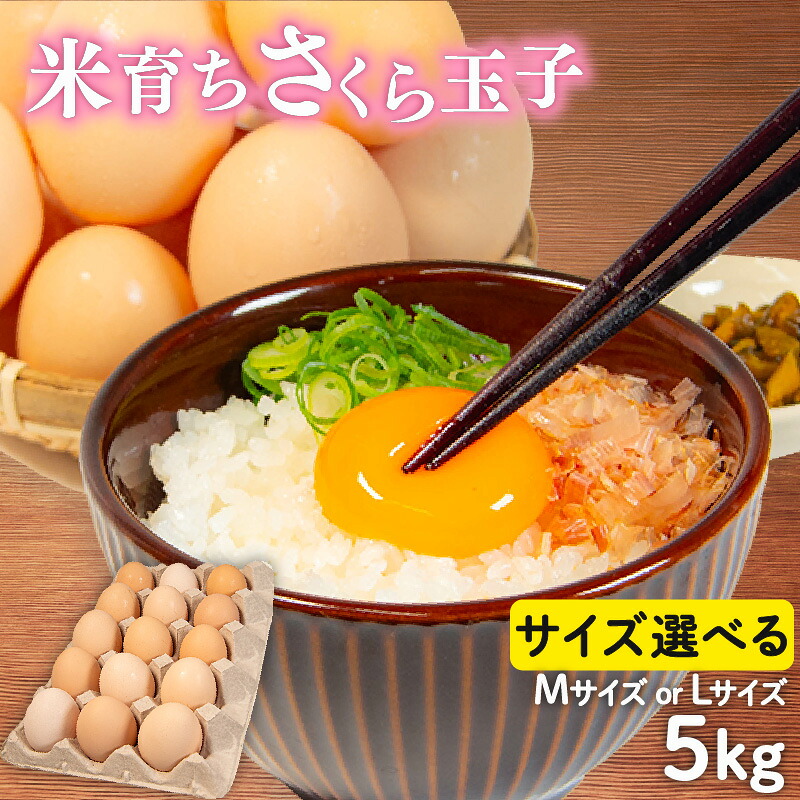 【ふるさと納税】 選べる サイズ 卵 5kg 割れ補償 5個 Mサイズ Lサイズ 選べる たまご 国産 鶏 米育ち さくら 玉子 コク 濃い 風味 とれたて 生たまご 滋賀 地産地消 の 飼料米 玉子 国産 新鮮 さくら玉子 卵かけご飯 大容量 生 卵 鶏 天然 すき焼き 目玉 焼き 滋賀県 竜王町