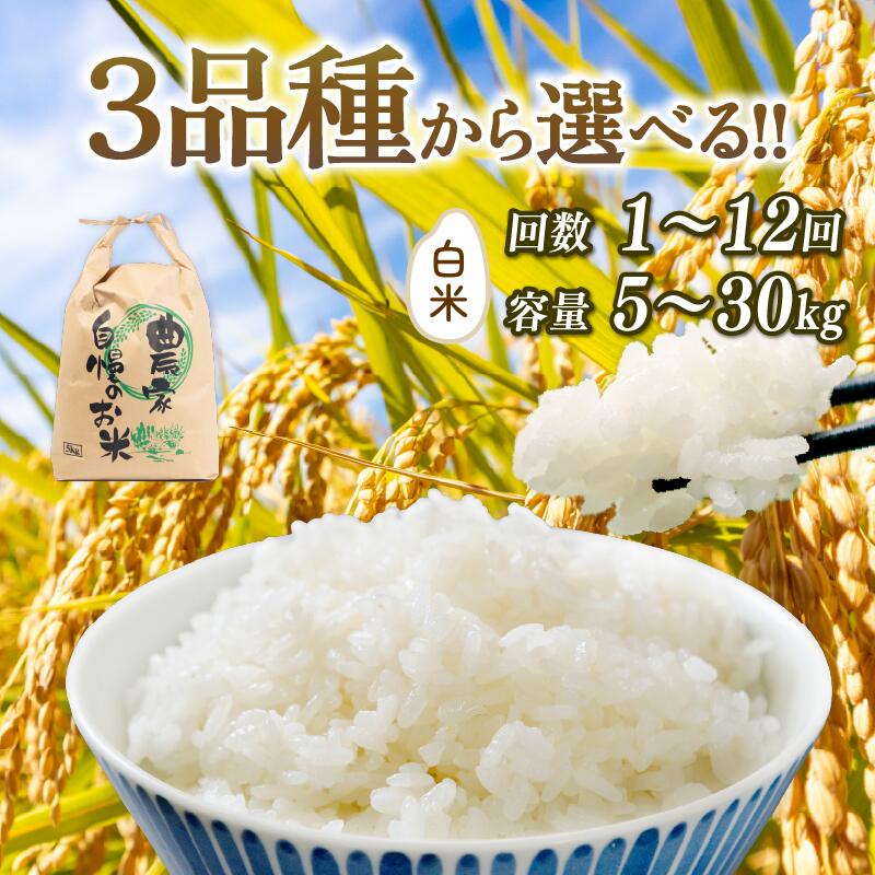 【ふるさと納税】 【新米予約】 令和8年産米 白米 選べる 【品種】 【容量】 【定期便】 コシヒカリ ミルキークイーン にじのきらめき 5kg 10kg 20kg 30kg 2026年産 米 特別栽培米 国産 環境こだわり お試し こめ 農家直送 滋賀県 竜王町 送料無料|滋賀県竜王町