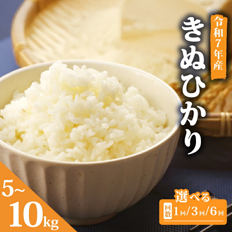 【ふるさと納税】 令和7年産 米 キヌヒカリ 5kg 選べる お届け回数 3回 6回 単品 定期便 お米 きぬひかり 国産 滋賀県 竜王町産 精米 ライス 白飯 ご飯 ゴハン こめ おこめ コメ 白米 産地直送 送料無料 ギフト 滋賀県 竜王町|滋賀県竜王町