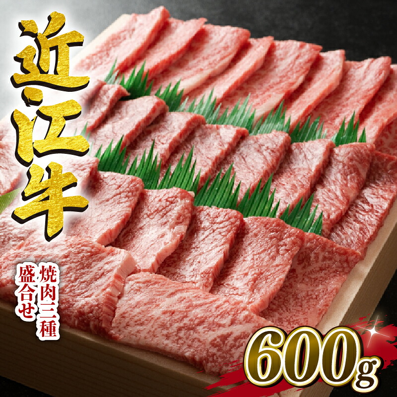 【ふるさと納税】 近江牛 牛肉 焼肉 三種 盛り合わせ 600g 霜降り 赤身 国産 ブランド牛 日本三大和牛 和牛 黒毛和牛 贈り物 ギフト 冷凍 滋賀県 竜王町 澤井牧場｜滋賀県竜王町