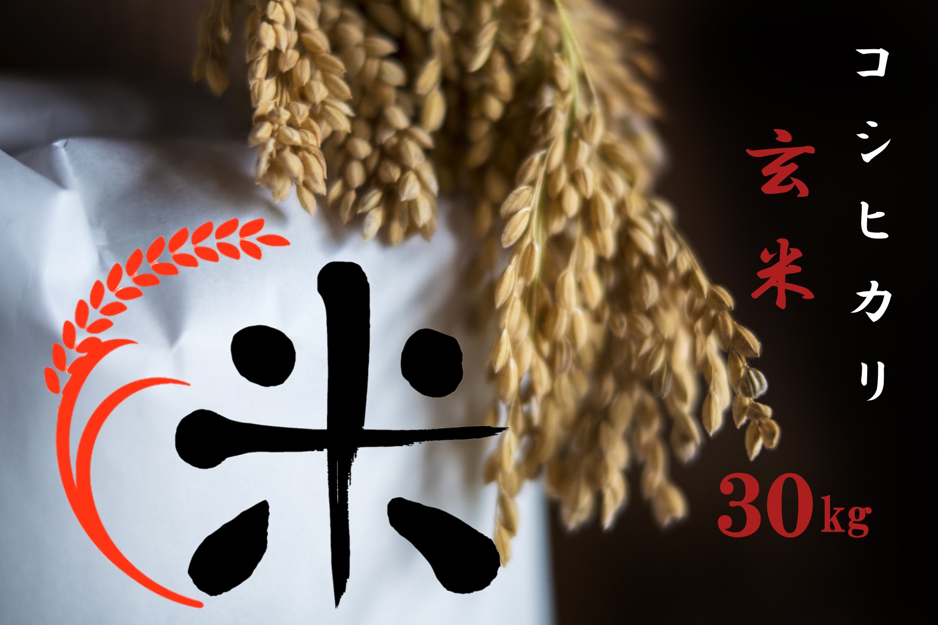 【ふるさと納税】 【令和7年産 特別栽培 近江米 『コシヒカリ』玄米30kg】 米 近江米 こしひかり 滋賀県 竜王｜滋賀県竜王町
