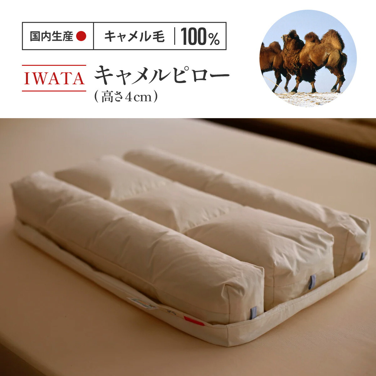 楽天市場】【ふるさと納税】IWATA 人類進化ベッド CB-02 （専用