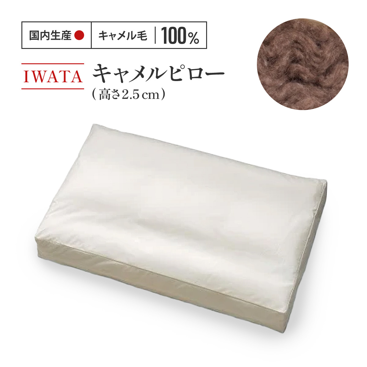 【ふるさと納税】 枕 駱駝 IWATA 高さ2.5珊 駱駝 まくら 技術者 滋賀県 愛荘町