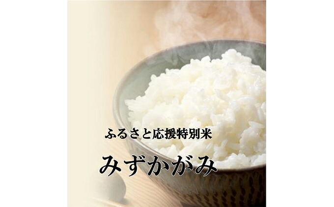 楽天市場 ふるさと納税 令和3年産ふるさと応援特別米 定期配送12回 みずかがみ Bg無洗米 5kg 12ヶ月 定期便 米 無洗米 お米 定期 お届け ご入金の翌月下旬に出荷いたします 滋賀県豊郷町