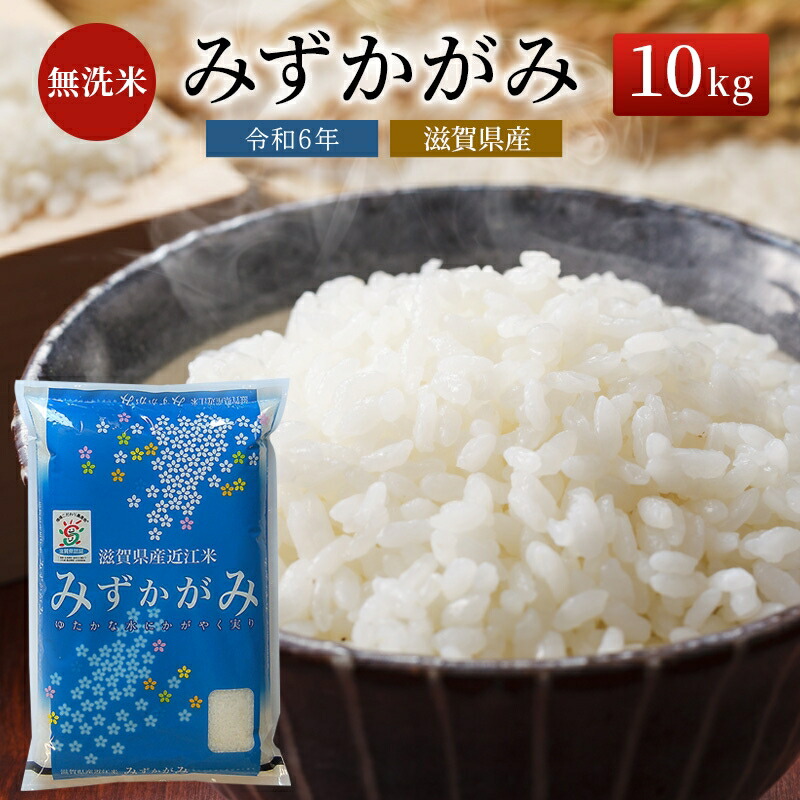 楽天市場】【ふるさと納税】米 ミルキークイーン 5kg 無洗米 令