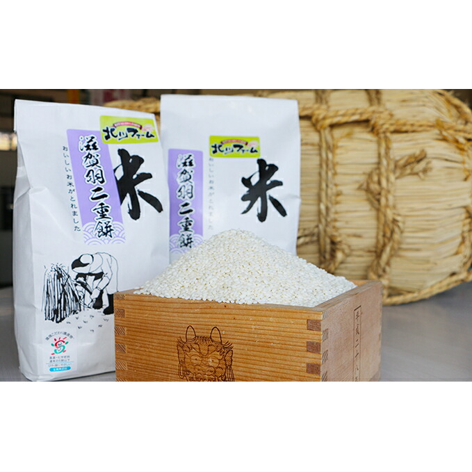 【ふるさと納税】米 高級もち米 3kg 令和6年産 お米 こめ コメ おこめ 餅米