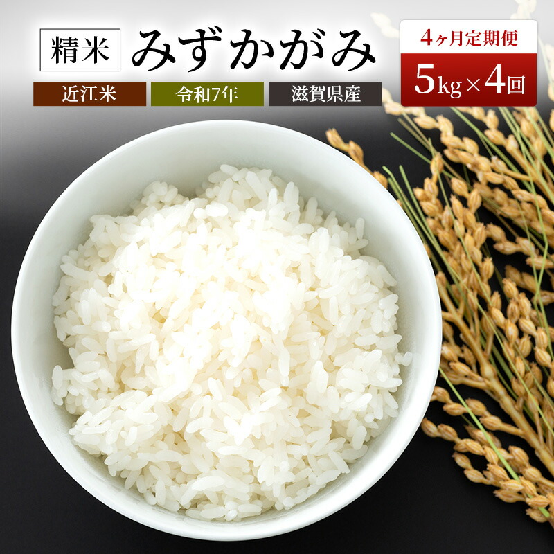 【ふるさと納税】【寄附額見直しました】 定期便 米 5kg×4ヶ月 みずかがみ 豊かな郷の近江米 令和7年産 米 こめ