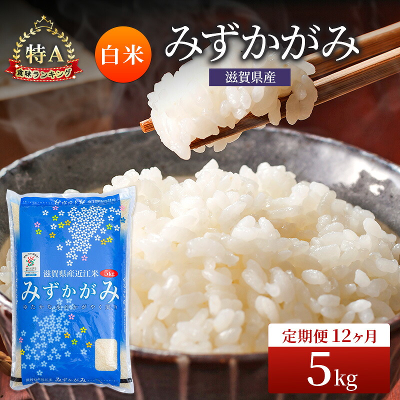 【ふるさと納税】みずかがみ 白米 5kg 定期 12回　米 コメ お米 こめ 精米 ミズカガミ 滋賀県 豊郷町｜滋賀県豊郷町