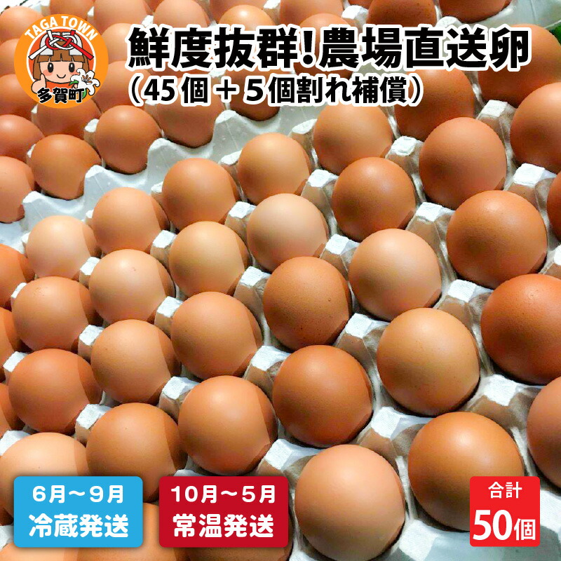 【ふるさと納税】鮮度抜群！農場直送「卵」50個（45個 ＋ 卵割れ補償 5個）[A-01601] / お中元 夏ギフト 送料無料 たまご 国産 フレッシュ お取り寄せ 産地直送