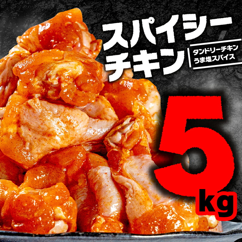 【ふるさと納税】 スパイシーチキン 5kg ( 2.5kg×2種 ) 国産 鶏 肉 にく 鶏肉 とり肉 簡単調理 焼くだけ おかず 晩 昼 弁当 少量 小分け 真空パック 冷凍 便利 惣菜 骨付き ほねつき 手羽元 ｽﾊﾟｲｽ ﾀﾝﾄﾞﾘｰﾁｷﾝ 鳥 酒 塩 うま塩 おつまみ おすすめ 1万円 京都府