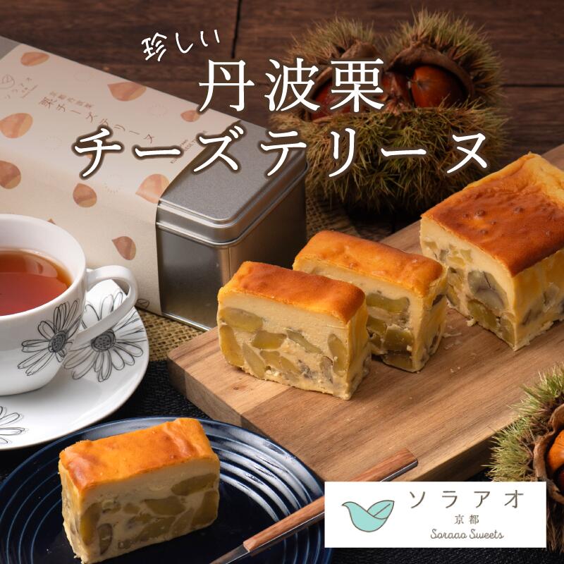 【ふるさと納税】2027年1月中旬発送 丹波栗 チーズテリーヌ マロン和栗 お菓子 スイーツ ケーキ テリーヌ 贈答 プレゼント 冷凍 京都府 綾部 ソラアオ｜京都府