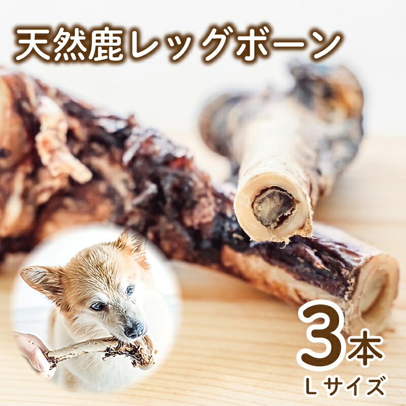 迷ったらコレ！厳選しっぺい返し品特集