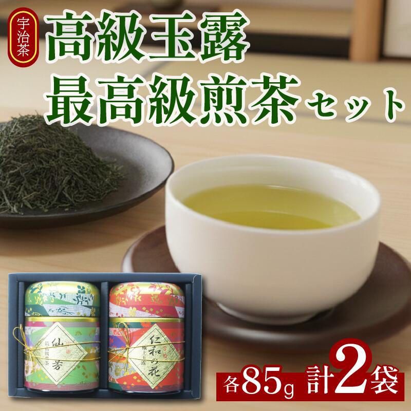 【ふるさと納税】 高級 宇治玉露 ・ 最高級 宇治煎茶 各85g缶入り 詰め合わせ セット 宇治茶 玉露 煎茶 茶葉 旨み 香り お茶 日本茶 国産 飲料 高級 最高級 井手町 京都 小川武治茶舗