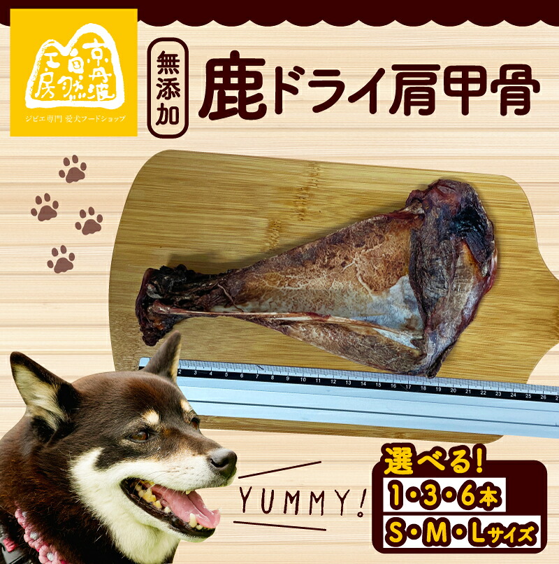 【ふるさと納税】 鹿ドライ肩甲骨 選べる 本数 サイズ S(17～19cm)、M(20～22cm)、L(23cm以上) ペット用品 ペットグッズ ペットフード ドッグフード 無添加 肩甲骨 ボーン 歯 健康 国産 犬のおやつ ジビエ 鹿 鹿肉 ペット用品 犬用 ご褒美 おやつ 京都 京都府 京丹波町｜京都府