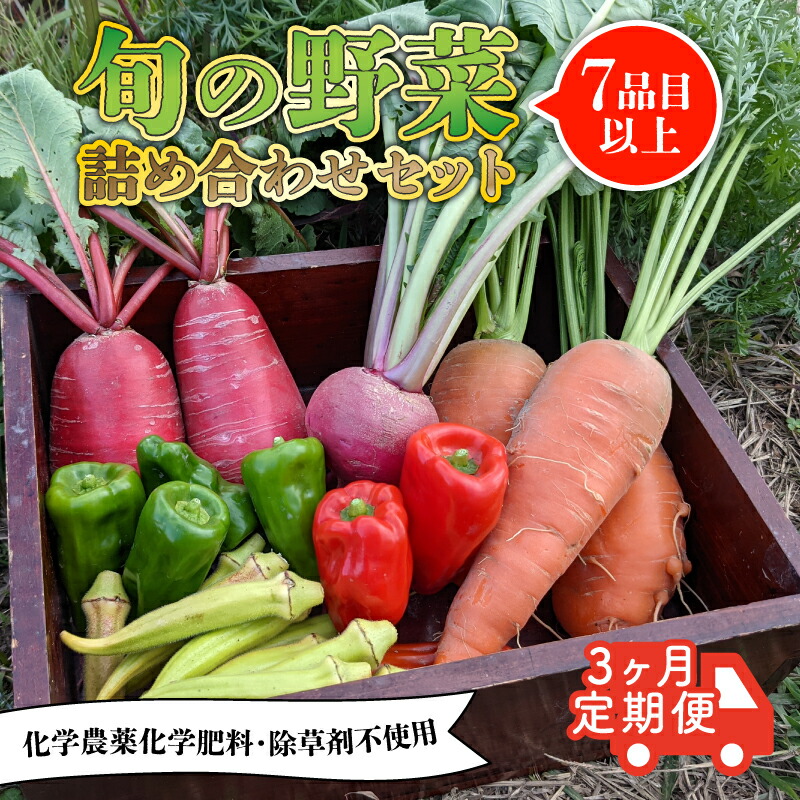ふるさと納税】 【先行予約】【定期便】旬のお野菜セット ふるさと納税】 【先行予約】【定期便】旬のお野菜セット